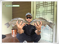 여름 4짜, 송전지 송도좌대..