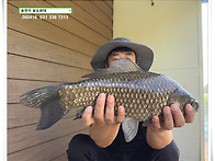 42cm, 송전지 송도좌대 조..