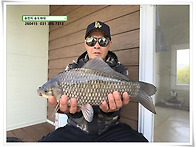 산란에 4짜, 송전지 송도좌..