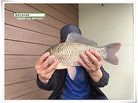 가을 첫 4짜, 송전지 송도..