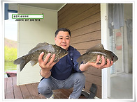 본 산란에 타작, 송전지 ..