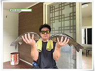 주 초 조황, 송전지낚시터..