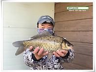 다시 만난 산란, 송전지 ..