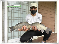 연휴 후 주중조황, 용인 ..