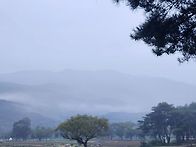 안개가 빚은 선경(仙景)