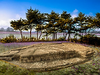 미리 보는 내년 달력 사진