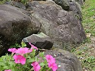 여름날 풍경