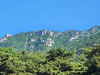 영축산의 일출과 불두화