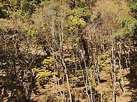 만추(晩秋)의 햇살 아래