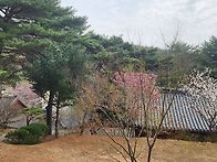 꽃은 피고 지고 세월은 가..