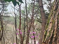 봄날 파한(破閑)