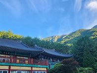 송림(松林) 풍경