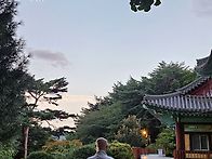 모과나무 밑에 앉아서