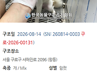 오늘 구조한 아이..