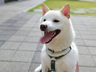 [급구] 다시 돌아..