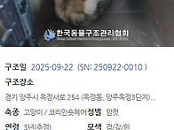 오늘 구조한 아이..