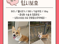 [임보급구] 제발 ..