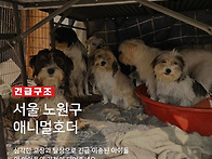 [긴급구조] 생명이..