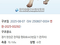 오늘 구조하는 아..