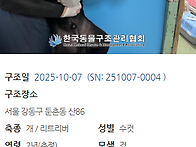 오늘 구조한 아이