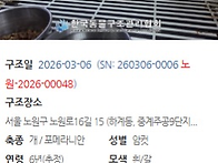 오늘 구조한 아이..