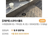 오늘 구조한 아이..