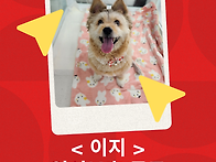 [급구] 큰 수술을..