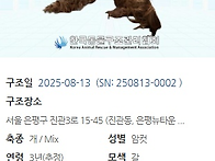 오늘 구조하는 아..