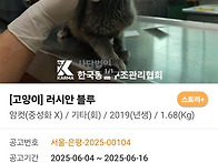오늘 구조하는 아..
