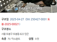 오늘 구조하는 아..
