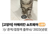 오늘 구조 합니다..