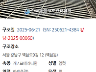 오늘 구조하는 아..