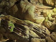 베트남 퐁냐케팡 - 티엔손..