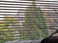 괴산에서 벌써 오래 살았네..