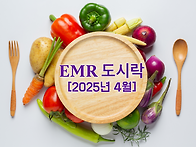 [2025년 4월] EMR 도시..
