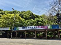 일림산사진1