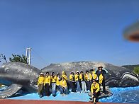 26.6.12청락원 견학