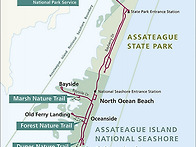 Assateague Island ..