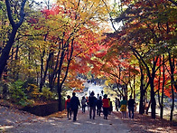 (출발)11/8(토) 서울대 안..