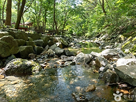 8/27(목)보령 성주산자연휴..