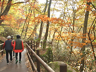 11/11(수) 단풍명소 속리..