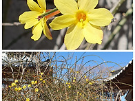 3/28(토) 부암동 삼청동 ..