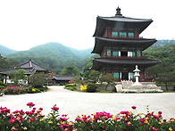 5/14(수) 진천 보탑사 작..