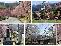 4/8(수) 거창 임불마을 병..