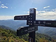35구간 길에서~