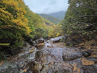 코뿔소 36차 성삼재~백무동