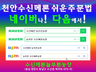 ["2026년 봄 메론 출하시..