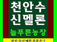 수신메론 맛 보세요!!-[..