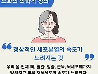 커피베리빈으로 활성산소 ..