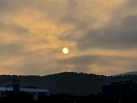 공원의 일상(0802) *^^..